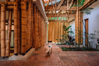 Bamboo in Latin American Housing: 10 Houses Revealing the Future of the Material in Architecture