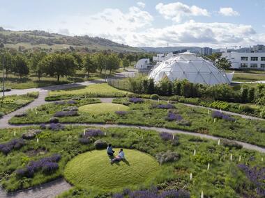 Jardín Vitra Oudolf / Piet Oudolf