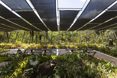 Galería Yayoi Kusama / MACh Arquitetos + Rizoma Arquitetura