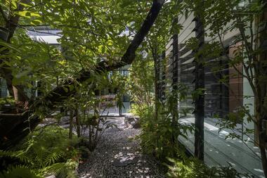 Gallery of Tree’s House / Studio Bewell  - 7