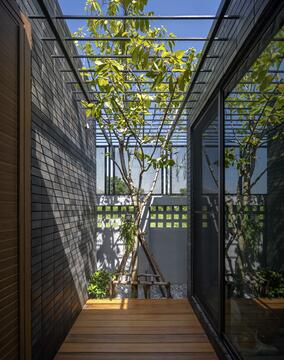 Gallery of Tree’s House / Studio Bewell  - 10