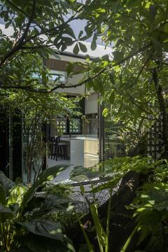 Gallery of Tree’s House / Studio Bewell  - 8