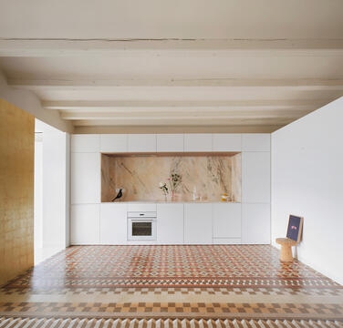 The Rosegold Apartment / Raúl Sánchez