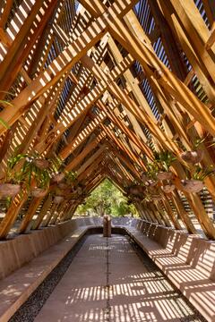 Gallery of Orchid Pavilion / CCA Centro de Colaboración Arquitectónica  - 3