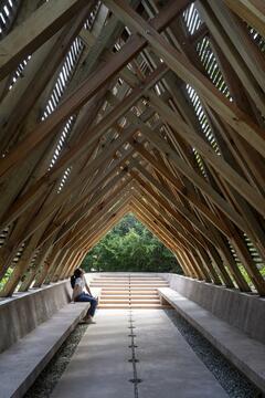 Gallery of Orchid Pavilion / CCA Centro de Colaboración Arquitectónica  - 21