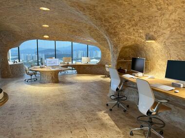 Cave Office / Javier Senosiain