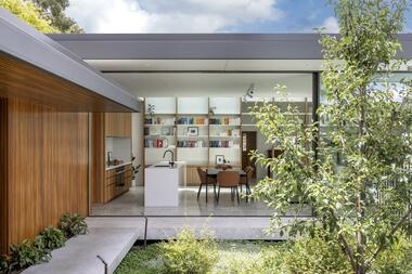 Pear Tree House / Glasshouse
