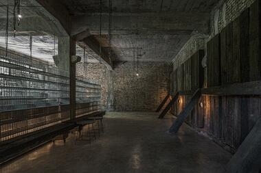 Gallery of The Mineless Heritage Restoration Project / DIVOOE ZEIN Architects  - 7