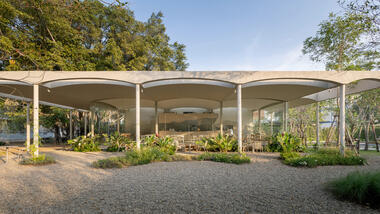 Cafetería y parque infantil Little Stove & Little Stump / NITAPROW