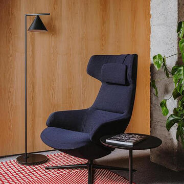 Lounge Chairs - Aston Club from Arper