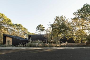 House in the Trees / OECO Architectes