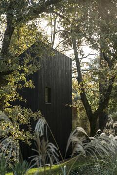 Gallery of House in the Trees / OECO Architectes  - 6