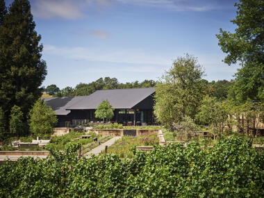Flowers Winery  / Walker Warner
