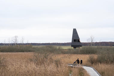 Amager Parque Natural / ADEPT
