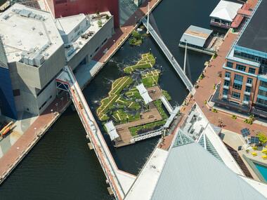 Harbor Wetland / Ayers Saint Gross