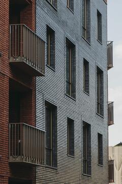 Gallery of Heart of the Waalsprong Housing Complex / De Zwarte Hond  - 12