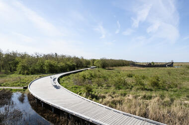 Gallery of Nature Park Amager / ADEPT + LYTT  - 17