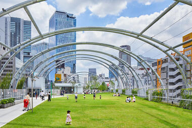 A Skyward Shift: Exploring the Social Impact of Elevated Public Spaces in Cities