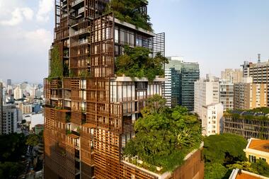 Gallery of Landscape Deign of Torre Mata Atlântica / Benedito Abbud Arquitetura Paisagística  - 6