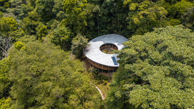 Gallery of Sinfonia Verde Home / Studio Saxe  - 1