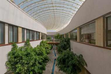 Learning Garden / Tech Faru + Naghan Co