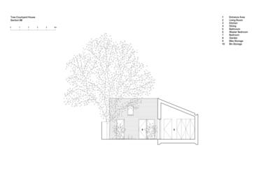 Gallery of Tree Courtyard House / ao-ft  - 15