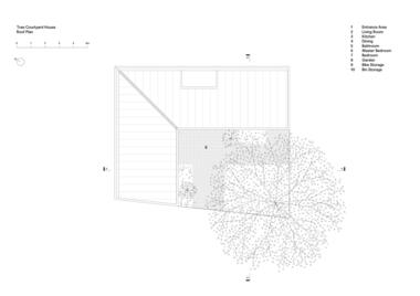 Gallery of Tree Courtyard House / ao-ft  - 13