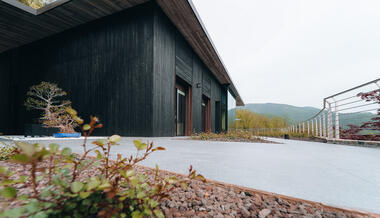 Gallery of External Cladding in House in the Wood - 12