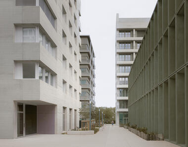 Gallery of Lyon Confluence Mixed-Use Quarter / David Chipperfield Architects  - 10