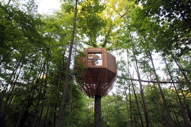 Building Among the Branches: A Showcase of Contemporary Treehouse Architecture