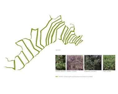 En Detalle: Restauración Paisajística del Vertedero de Residuos de la Vall d'en Joan / Batlle i Roig Arquitectes