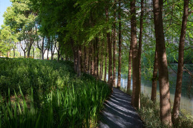 Gallery of The Orchestra Park / SoBA  - 16