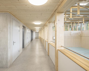 Gallery of Sainte-Croix Gymnasium  / MUE Atelier + BSAAR + Erbat SA  - 13