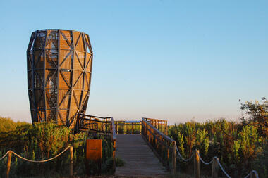 Gallery of Designing in Harmony with Nature: Architecture in Urban Wetlands and the Pursuit of Territorial Well-Being  - 1