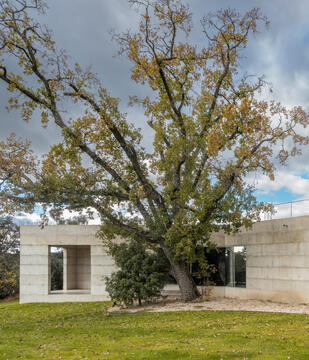 Gallery of House X / Bojaus Arquitectura  - 3