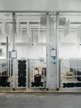 Galería de Edificio veterinario de la Universidad Noruega de Ciencias de la Vida en Campus Ås / Henning Larsen  - 10