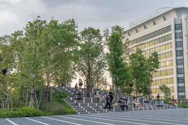 The Quiet Tensions of POPS: How Private Institutions Shape Public Urban Wellness and Access