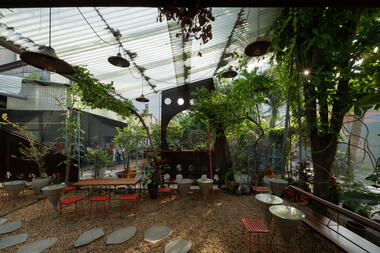 O Plant-based Thao Dien Cafe / xưởng xép