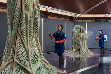 Designing a Living and Dying Structure: Picoplanktonics and the Canadian Pavilion in Venice
