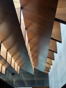 Gallery of Lagoon House  / Peter Stutchbury Architecture  - 8