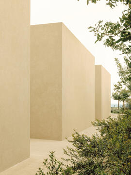 Patio House  / Solum Studio 