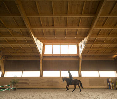 Designing for Horses: 8 Projects Shaping Space for Equine Life
