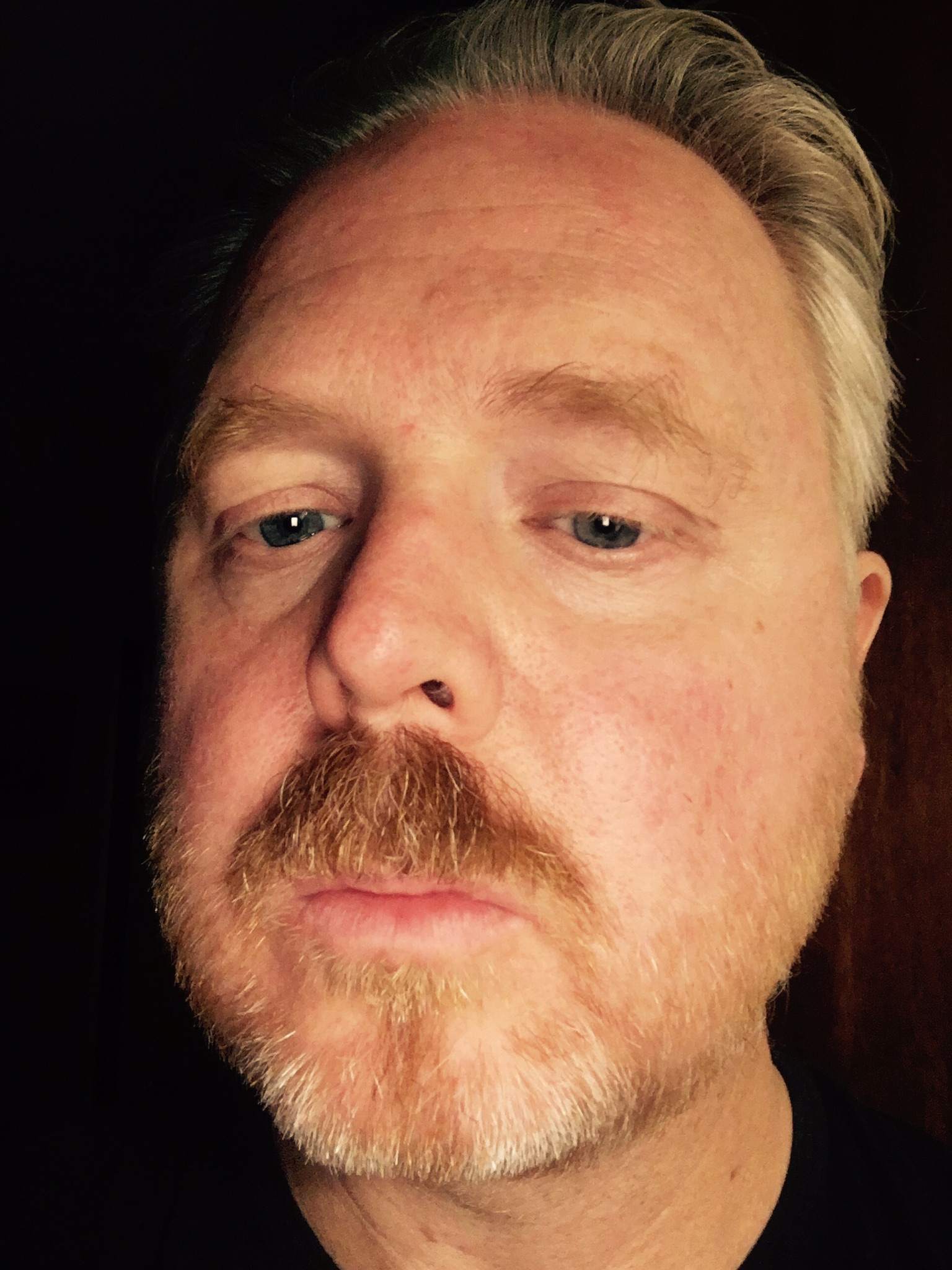 Petersson Stefan ArchDaily